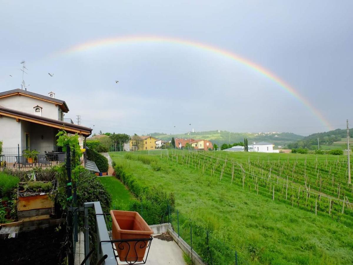 La Casa Di Silvana Valeggio sul Mincio Buitenkant foto